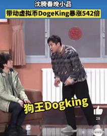 春晚带火元宇宙？一虚拟币暴涨几百倍_元宇宙:元宇宙专业好就业吗