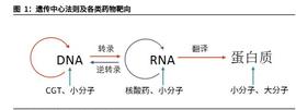 医药行业细胞基因治疗CDMO深度报告：搭乘新世代药物发展浪潮_DMO:TAL
