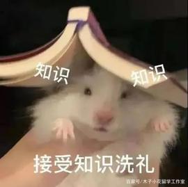 JLPT/EJU/JTEST次搞懂:常见日语考试简介与选择指南_BLITZ:UCH
