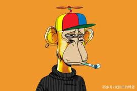 主流轮涨，减半行情再次来临！_达世币:ASH