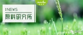 植提桥独家解读｜新食品原料圆苞车前子壳如何开发？_ANTA:ANT