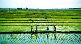 在上世纪90年代，我国农业、轻工业和重工业是如何保持协调发展的_AND:EVO