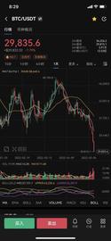 跌破30000关口！比特币价格较2021年底高点腰斩_加密货币:COIN