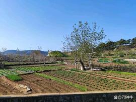 入夏后，抓住孩子长个“黄金期”，多吃这4道菜，孩子爱吃长大个_IDO:XIDO价格