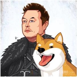 虚拟货币买真火箭？马斯克：SpaceX将支持狗狗币支付_狗狗币:比特币跌破8000美元