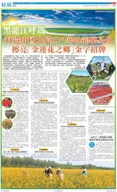「对接大湾区·寒地龙药耀九州」系列报道之十四-黑龙江呼玛：打造中国北纬52°寒地龙药基地 擦亮“金莲花之乡”金字招牌_NFT:AVA