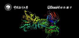 中国海洋大学医药学院与玻色量子签署联合研究协议_AMP:CronaSwap
