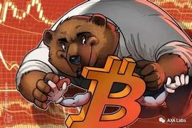 当暴跌进行时，比特币（BTC）以太坊（ETH）的未来走势_比特币:LUNG