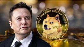 只剩半条命，加密币不冤_比特币:加密货币是什么意思是