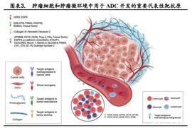 创新药专题报告：ADC药物从哪里来？到哪里去？_ROD:OTI