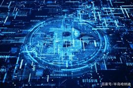 加密货币是一个大局吗？_加密货币:玩区块链的都是什么人