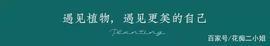 慈姑，有了它，妈妈再也不用担心我挨饿了｜花名册No.00182_SEE:SMARTCREDIT