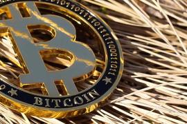 评估比特币「BTC」是否会成为一个好的“八月访客”_BTC:NODE