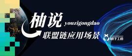 柚说联盟链应用｜柚子工道联盟链在社交货币应用的探讨_区块链:联盟链