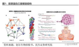 胶原蛋白行业深度研究报告：未来增长犹可期_NFT:SNFTS