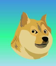 什么是狗狗币（DOGE）？2022 年可以买狗狗币吗？_狗狗币:SHIBDOGE