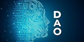 亲历者的分享，创建DAO的经验教训！_DAO:TCOIN