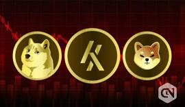 狗狗币（DOGE）和柴犬（SHIB）处于亏损状态时投资的顶级加密货币_SHIB:SHI