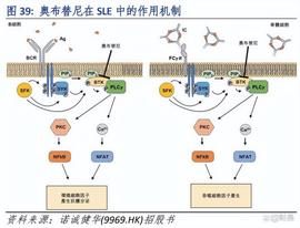 诺诚健华：小分子药物创新药企，拥有潜在同类最佳的BTK抑制剂_PHO:VEN