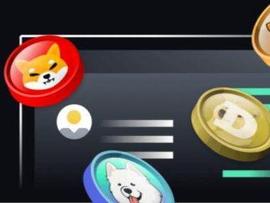狗狗币、Lunc等模因币暴涨的规律，应该如何进行投资？_SHIB:SHI