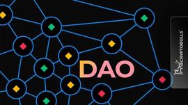 万物皆可 DAO？一文带你全方位解读 DAO 类型_DAOs:naos币团队出问题了