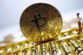 比特币合约交易新手不建议入行的原因_比特币:比特币交易网官网