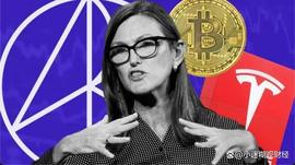 加密货币狠人“木头姐”疯狂加注GBTC：坚信BTC破100万美金_BTC:金比特币GBT