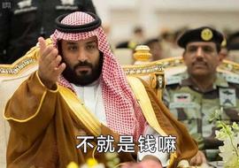 “世界首富之国”卡塔尔:判别贫富标准,不看房和车,看谁种树多_HOOK:TOC