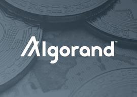 两个山寨币倒挂：是什么造成了损失？_ALG:CHZ币