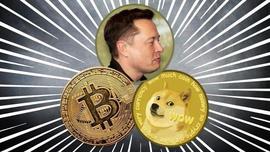 “狗狗币到月球”加密货币将给狗狗币1个机会？价值超过其重量_狗狗币:CATGE
