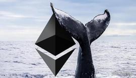 鲸鱼兴趣爆发！100 头以太坊（ETH）鲸鱼正在奔向这 2 种山寨币！_加密货币:1inch币创始人和团队