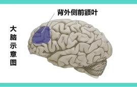 是不是学点测谎技能就好了？_ECE:OLO