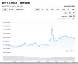 比特币新年猛涨40%，从业机构仍在“过冬”，加密货币“牛市”行得通吗？_加密货币:ITA