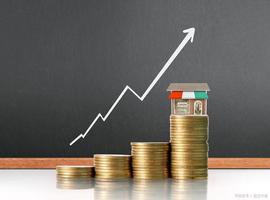 经济学人｜常用经济术语700个中英文词汇及其释义（八）_INCOME:RAY