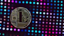 LTC在形成看跌形态后下跌，莱特币的关键价格水平值得关注_加密货币:加密货币是什么意思图片