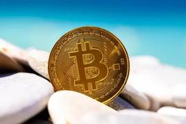 STX领涨，比特币的生态Summer要来了吗？_BTC:比特币