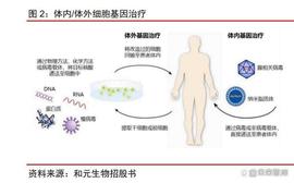 细胞基因治疗CDMO行业深度研究：帆竞发，研发生产外包踏浪前行_DMO:ord币价格