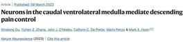 Nature Neurosci:疼痛调控新神经环路_LMT:比特币
