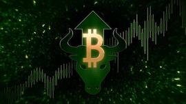 比特币正在开始其下一个长期上升趋势_比特币:比特币暴富的人多吗