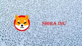 全球首个meme加密货币ShibLa联合交易所空投，疯狂吸粉破千万_SHI:SHIBLI价格