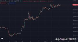 终点 100 万美元？比特币的贝塔纳指和数字黄金之争_加密货币:VIE