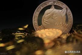 一级市场meme类型加密货币ShibL 打造meme公链主网成生态愿景_SHIBL:IBL
