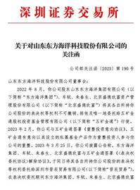 ST东洋收关注函:详细说明与五矿金通解除委托表决协议的具体原因_NFT:IBOX