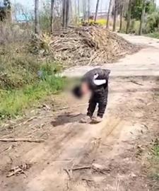 5岁男孩给奶奶扫墓偷藏一沓冥币带回家：这么多奶奶也花不完，拿点回去分给好朋友_: