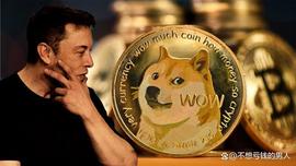 马斯克将Twitter的蓝鸟图标换成狗狗币，狗狗币价格一夜暴涨30%_数字货币:马斯克