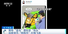 推特“蓝鸟”图标变“狗头”！推动加密货币“狗狗币”当天跳涨超25%_ATM:加密货币