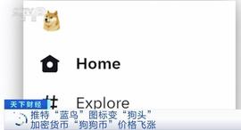 这一加密货币,突然价格大涨超25%!市值已超894亿元_马斯克:狗狗币