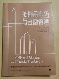 影子银行就是以''抵押品充当准备金来创造货币''的系统_DCO:REU