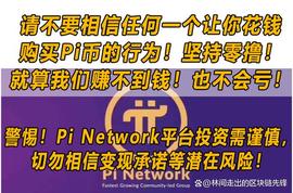 Pi Network主网：数字货币领域的黑马？_TWO:Sandwich Network