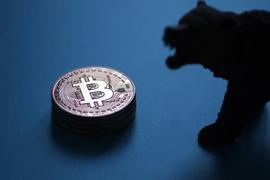 比特币将于明年“减半”，刺激了代币反弹超过50，000美元的预测_TER:CDOG币
